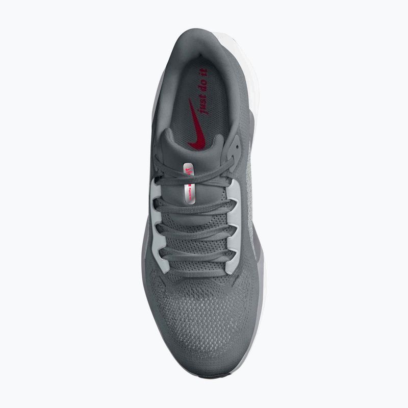 Мъжки маратонки за бягане Nike Pegasus 41 cool grey/wolf grey/pure platinum/bright crimson 6