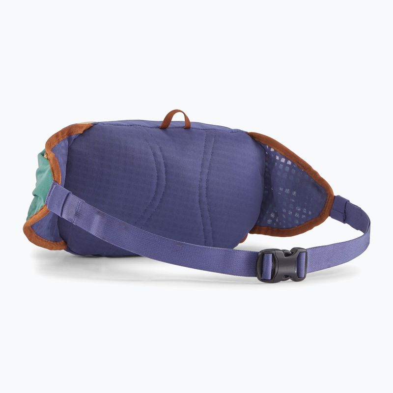 Patagonia Terravia Tote слънцестоене лилава торбичка за бъбреци 2