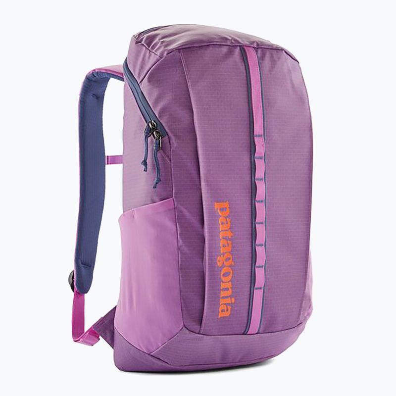 Градска раница Patagonia Black Hole Pack 25 l brisk purple