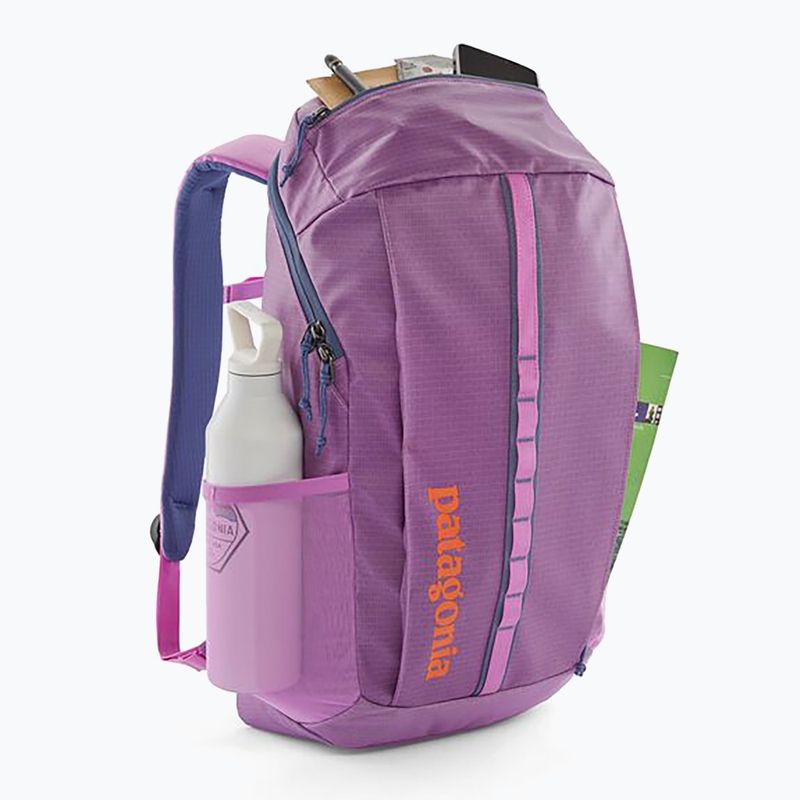 Градска раница Patagonia Black Hole Pack 25 l brisk purple 3
