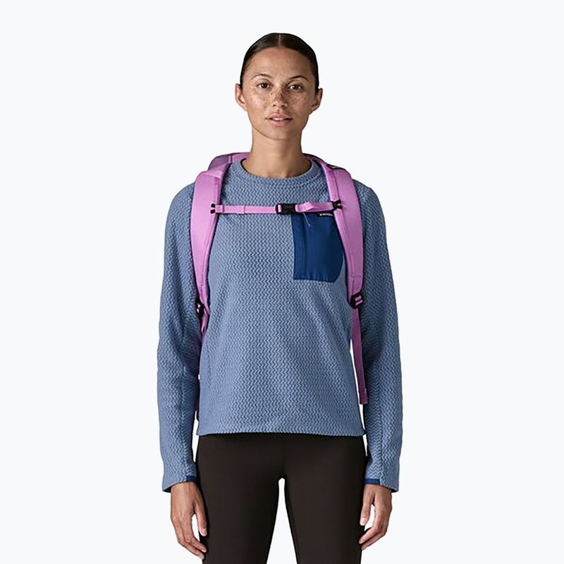Градска раница Patagonia Black Hole Pack 25 l brisk purple 5