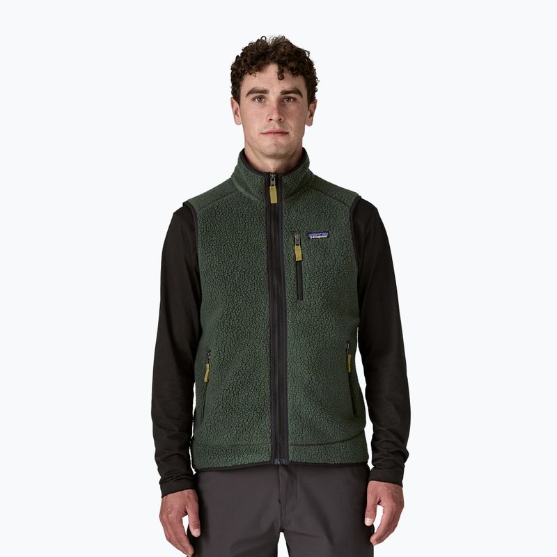 Мъжки елек Patagonia Retro Pile Fleece old growth green