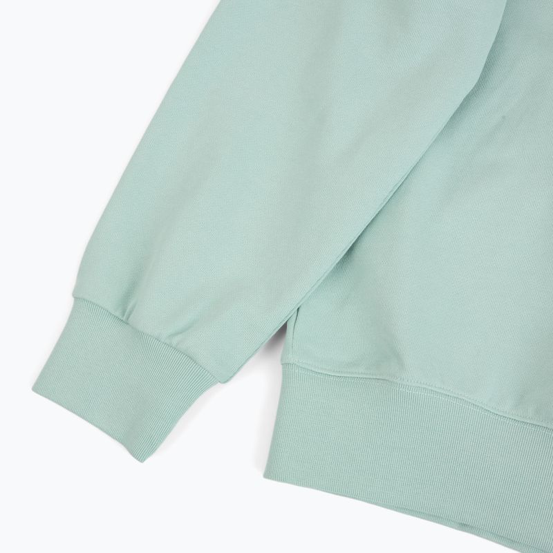 Дамски суитшърт Patagonia Daily Crew thin ice 4