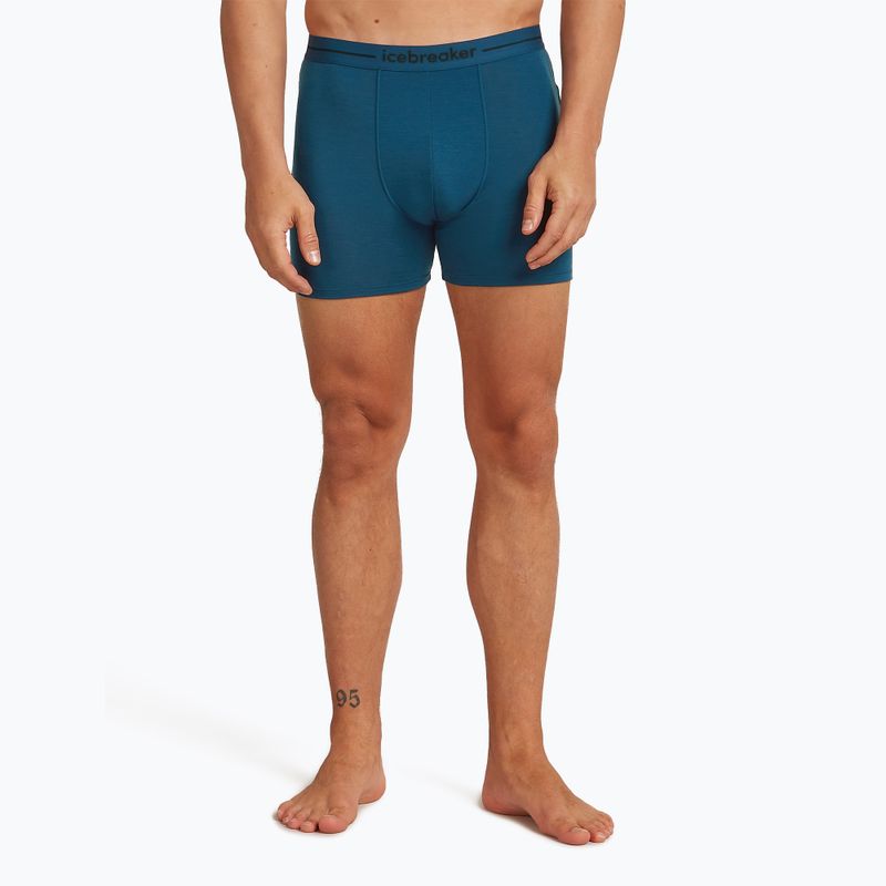 Мъжки термални боксерки Icebreaker Anatomica atlantis 2