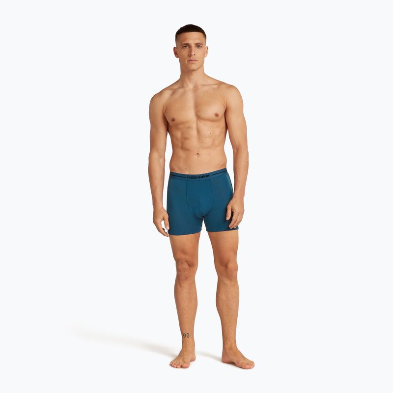 Мъжки термални боксерки Icebreaker Anatomica atlantis 3