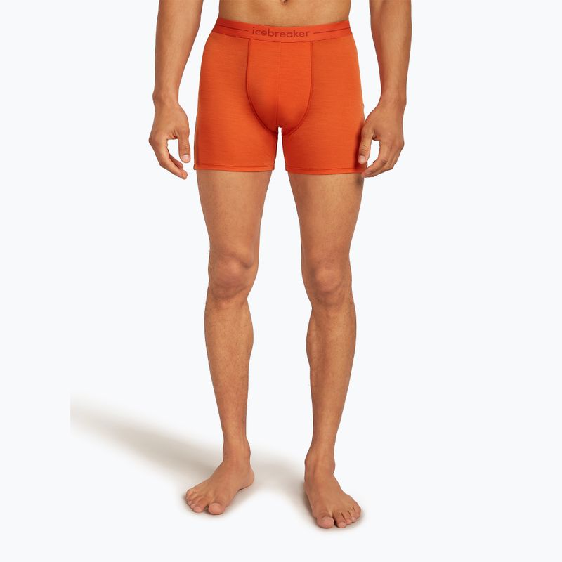 Мъжки термални боксерки Icebreaker Anatomica fervid 2