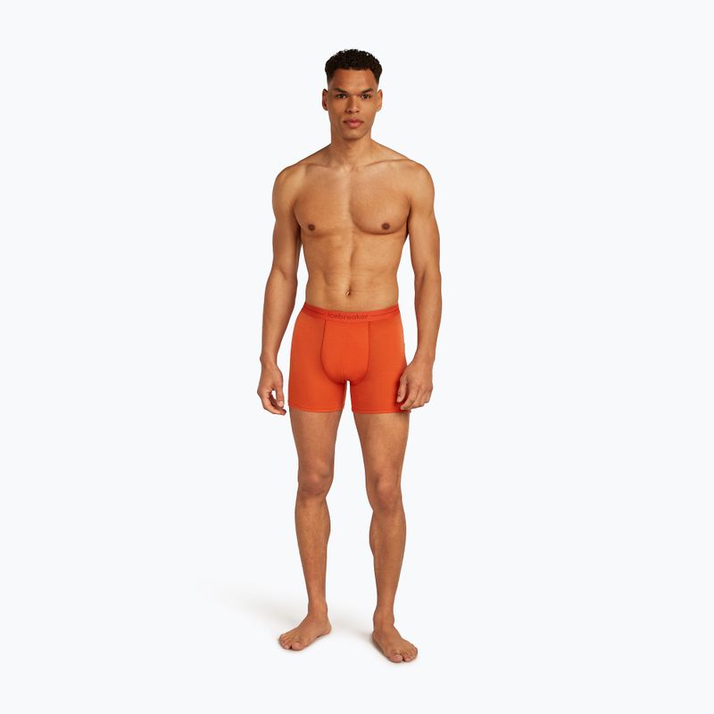 Мъжки термални боксерки Icebreaker Anatomica fervid 3