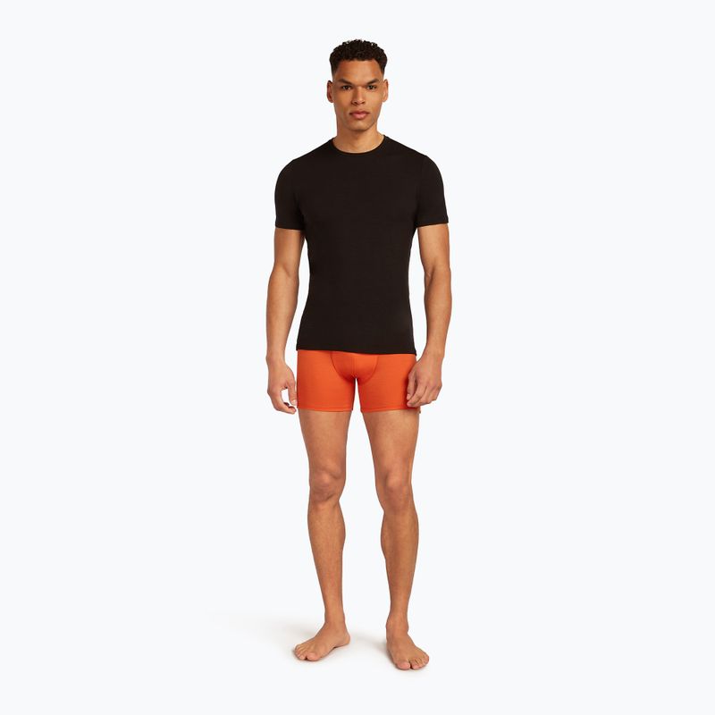 Мъжки термални боксерки Icebreaker Anatomica fervid 6