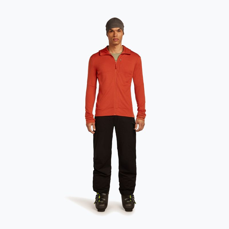 Мъжки суитшърт Icebreaker Merino 260 Quantum IV Zip Hoodie agate 2
