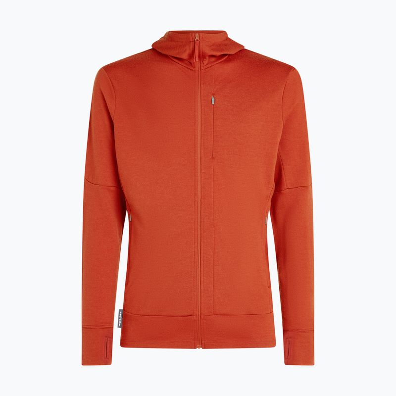 Мъжка качулка Icebreaker Merino 260 Quantum IV Zip Hoodie agate 10
