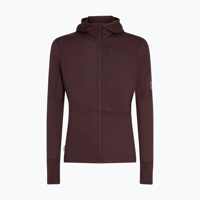 Мъжки потник Icebreaker Merino 200 RealFleece Descender Zip Hoodie java trekking sweatshirt 10
