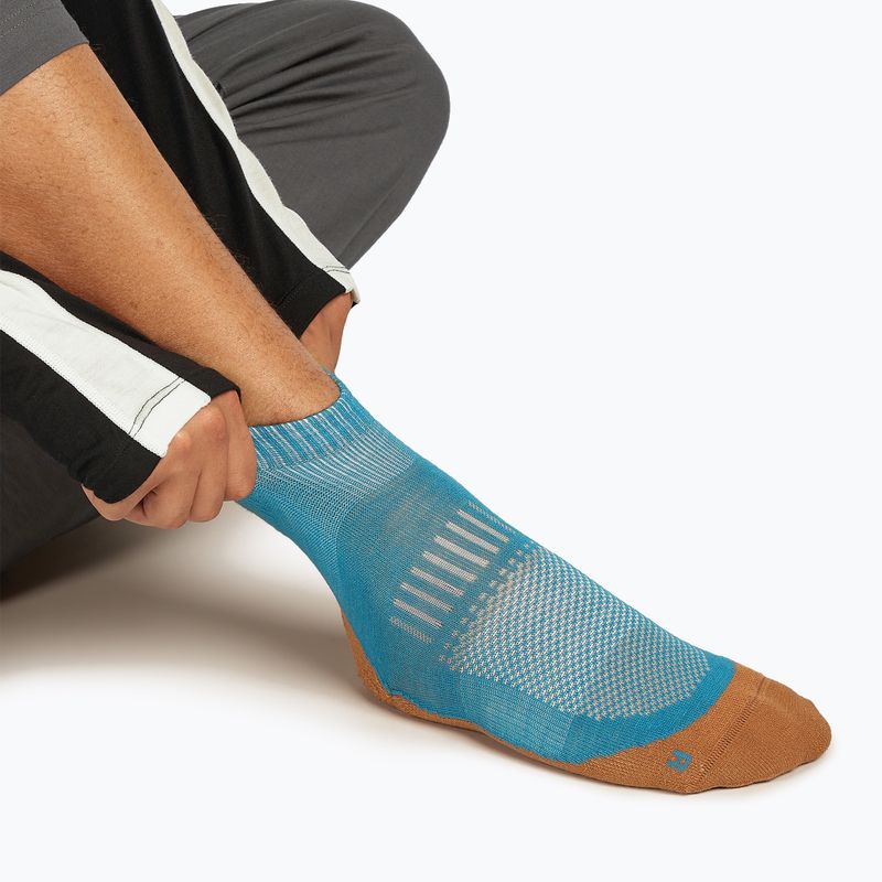 Мъжки чорапи Icebreaker Merino Hike+ Light Mini topaz/trail 3
