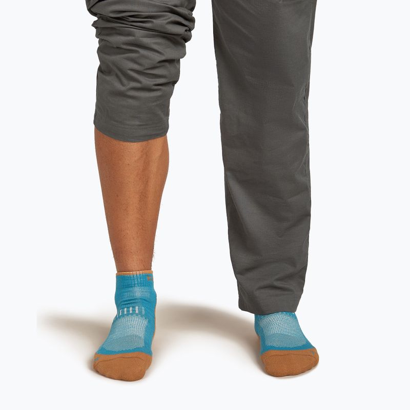 Мъжки чорапи Icebreaker Merino Hike+ Light Mini topaz/trail 4