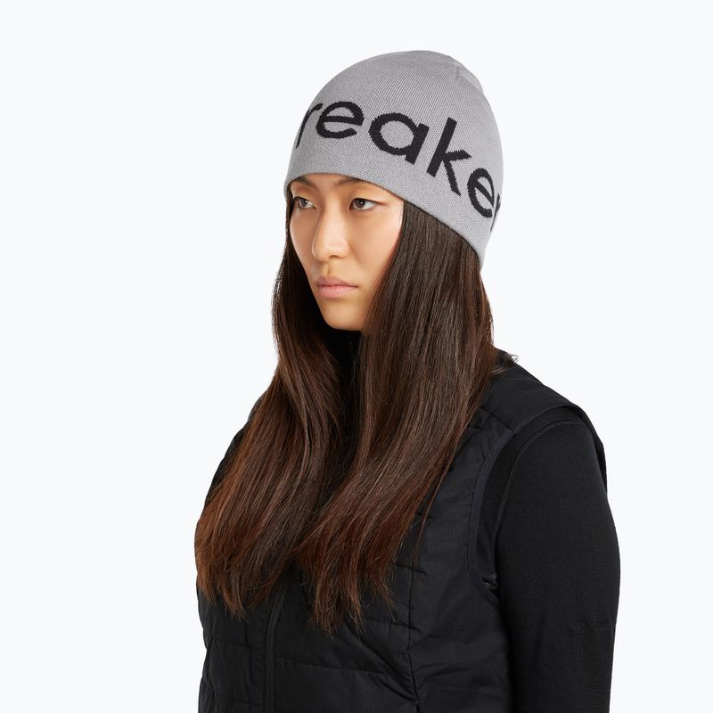 Зимна шапка icebreaker Merino Icebreaker Beanie alloy/black 7
