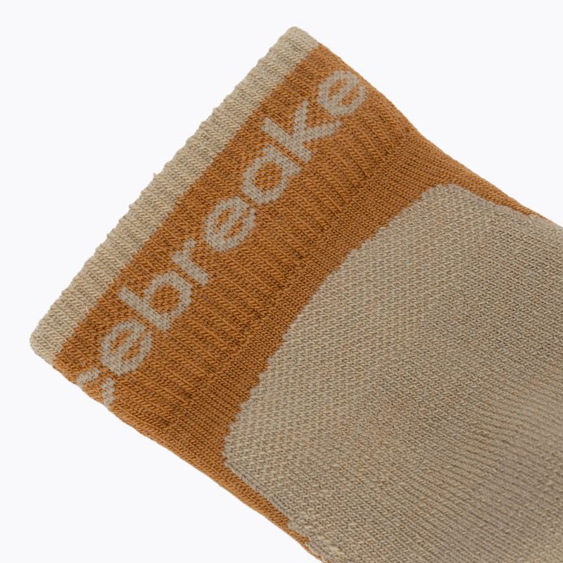 Мъжки чорапи Icebreaker Merino Hike+ Light Mini trail/flagstone 3