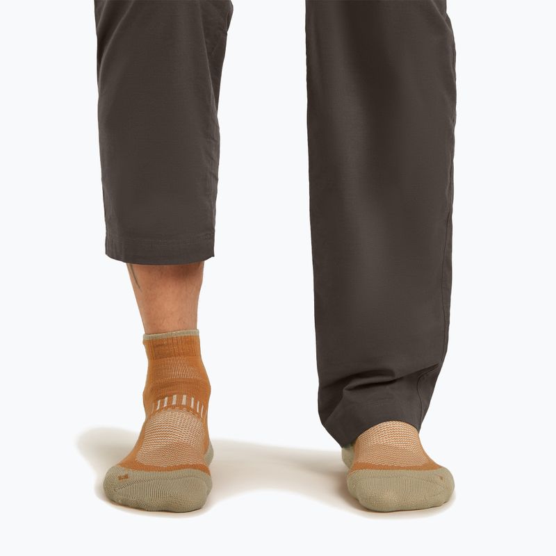 Мъжки чорапи Icebreaker Merino Hike+ Light Mini trail/flagstone 3