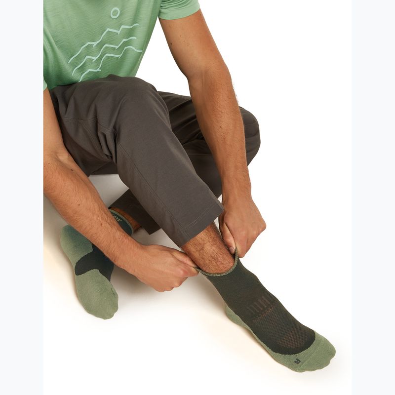 Мъжки чорапи Icebreaker Merino Hike+ Light Mini dark loden/lichen 8