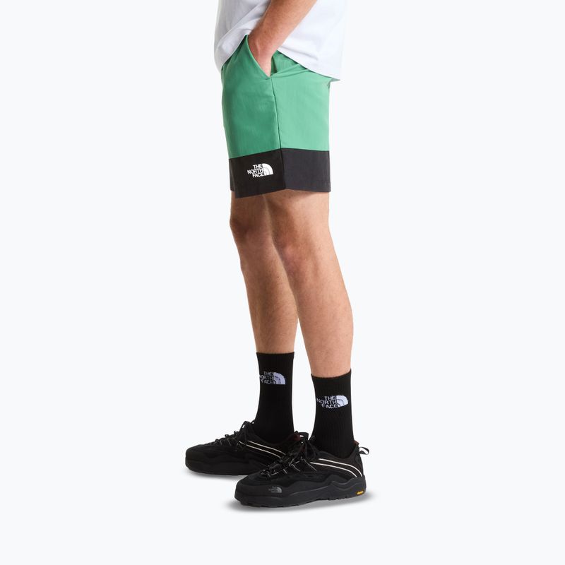 Мъжки шорти за трекинг The North Face Leynar dimmed algae/tnf black 4