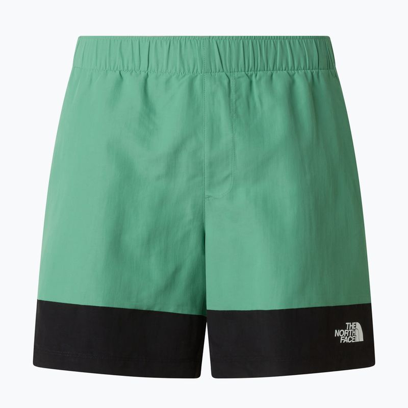 Мъжки шорти за трекинг The North Face Leynar dimmed algae/tnf black 9