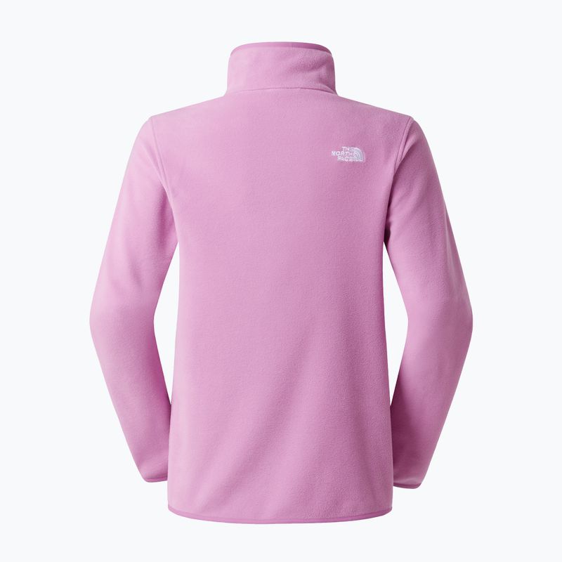Дамски суитшърт The North Face Glacier Fleece 1/4 Zip 6