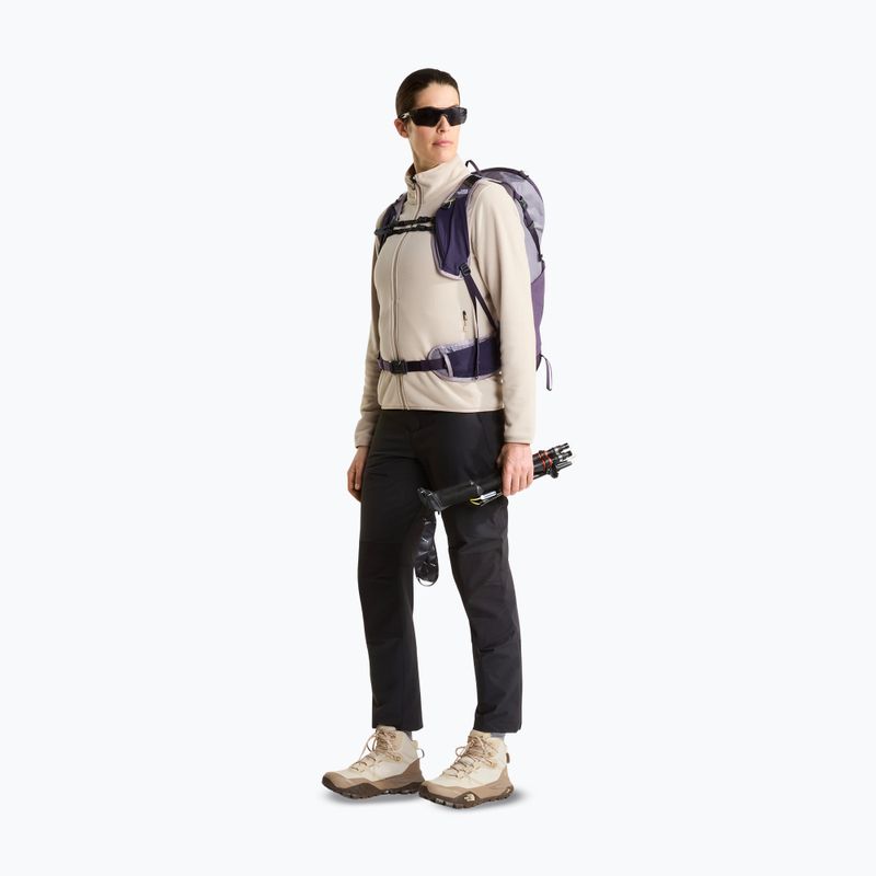 Мъжки поларен суитшърт The North Face Glacier Fleece timeless taupe 2