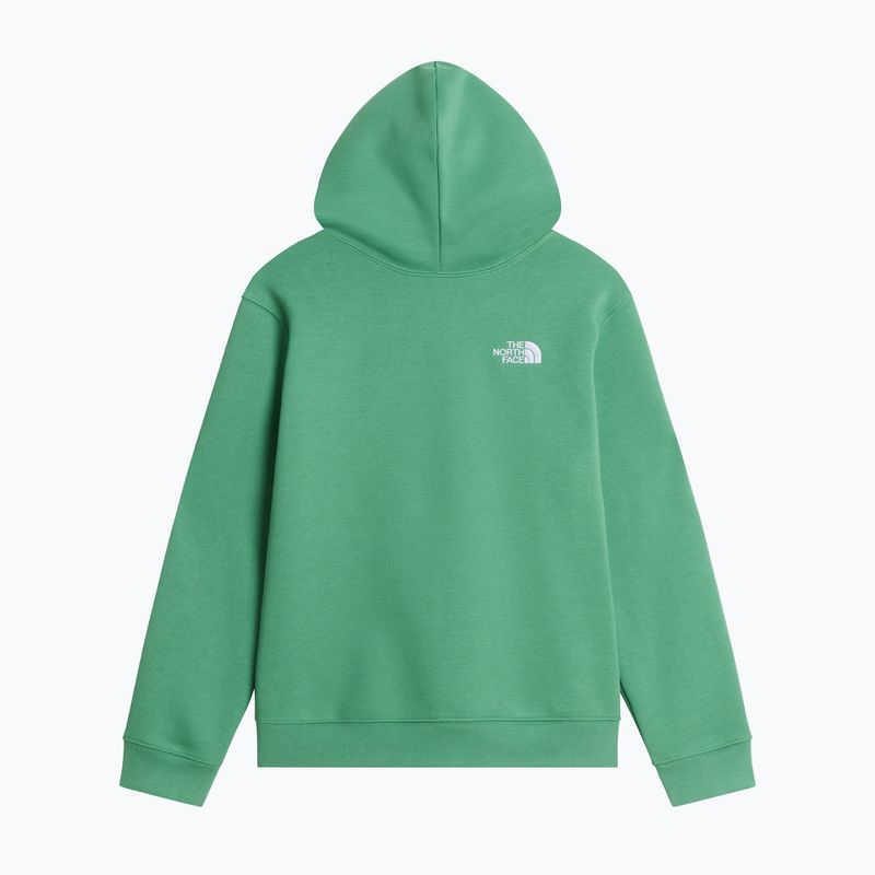 Детски суитшърт The Noryh Face Essential Drew Peak Hoodie dimmed algae 2