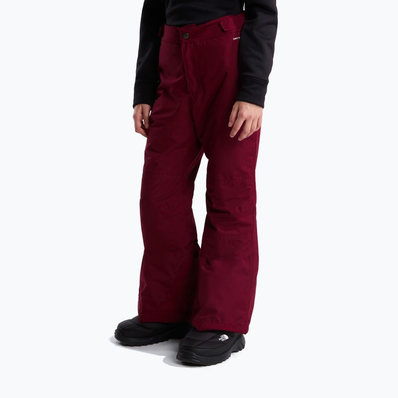 Детски скиорски панталони The North Face Freedom Insulated burgundy crush