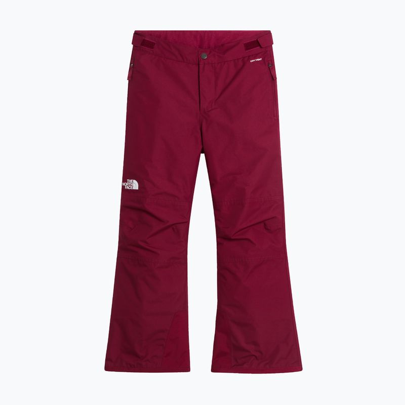 Детски скиорски панталони The North Face Freedom Insulated burgundy crush 4