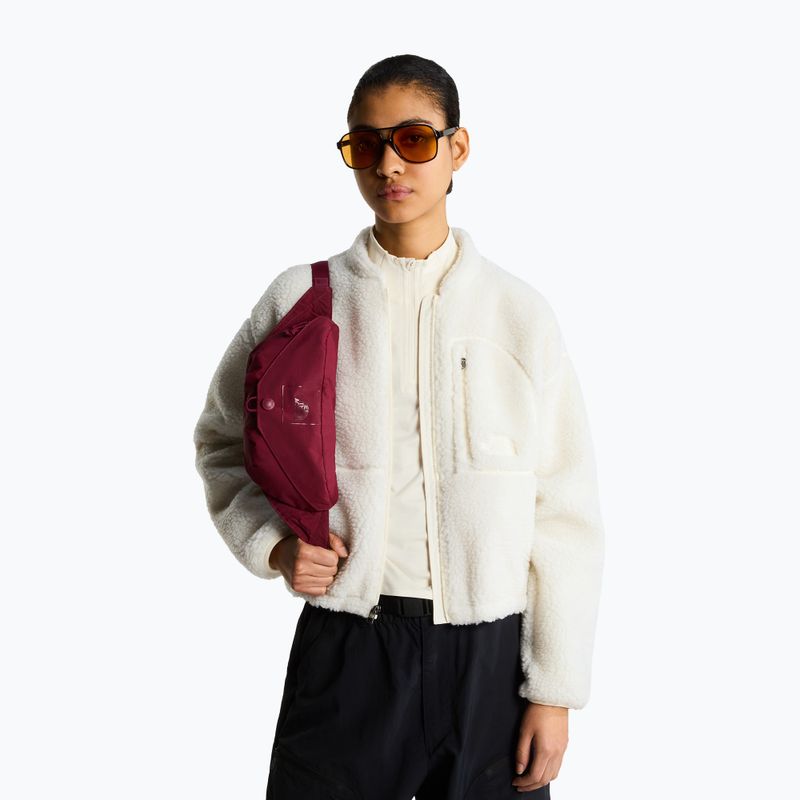 Чантичка за кръстна The North Face Glen Canyon Lumbar burgundy crush 5