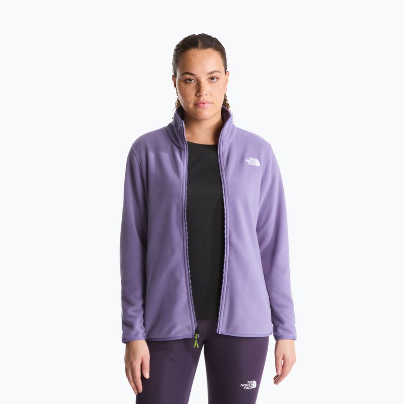 Мъжки поларен суитшърт The North Face Glacier Fleece grounded plum 4