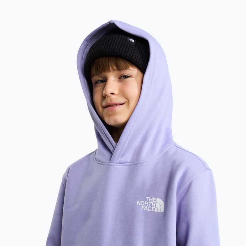 Детски суитшърт The North Face Evolution Box NSE Pullover Hoodies pale plum 6