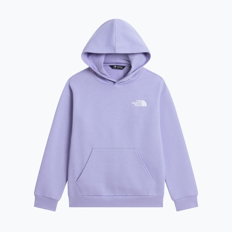 Детски суитшърт The North Face Evolution Box NSE Pullover Hoodies pale plum 7