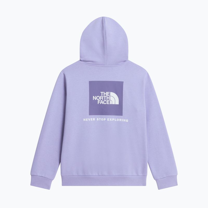 Детски суитшърт The North Face Evolution Box NSE Pullover Hoodies pale plum 8