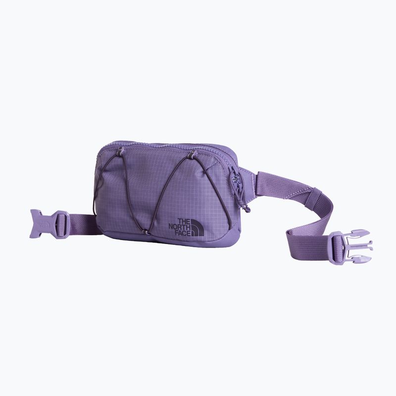 Чантичка за кръстна The North Face Terra Lumbar 1 l grounded plum/endless 2