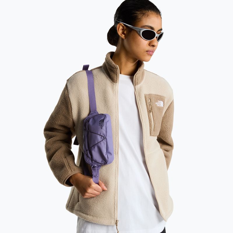 Чантичка за кръстна The North Face Terra Lumbar 1 l grounded plum/endless 5