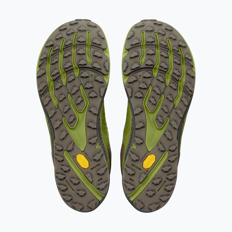 Мъжки обувки за бягане Altra Timp 6 GTX Iguana/Silver 4