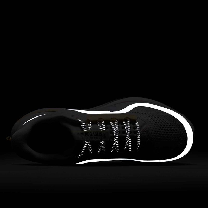 Дамски обувки за бягане Nike Pegasus Premium sail/alabaster/anthracite/white 17