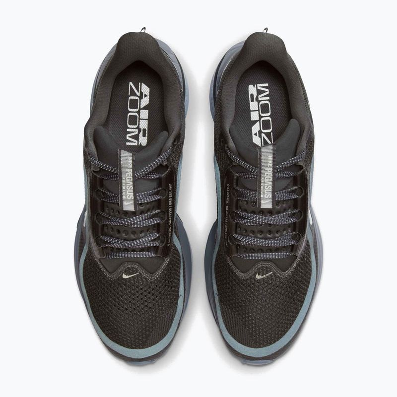 Мъжки обувки за бягане Nike Pegasus Premium anthracite/ashen slate/football grey/ure platinum 13