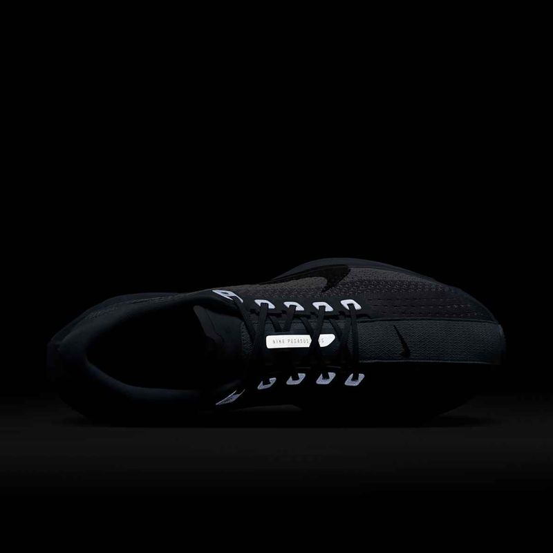 Мъжки обувки за бягане Nike Pegasus Plus ashen slate / anthracite / white 9