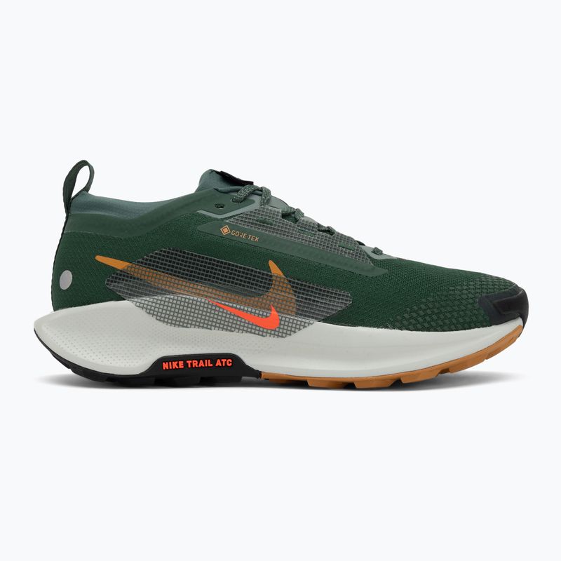 Мъжки обувки за бягане Nike Pegasus Trail 5 GORE-TEX fir/bright crimson/clay green 2