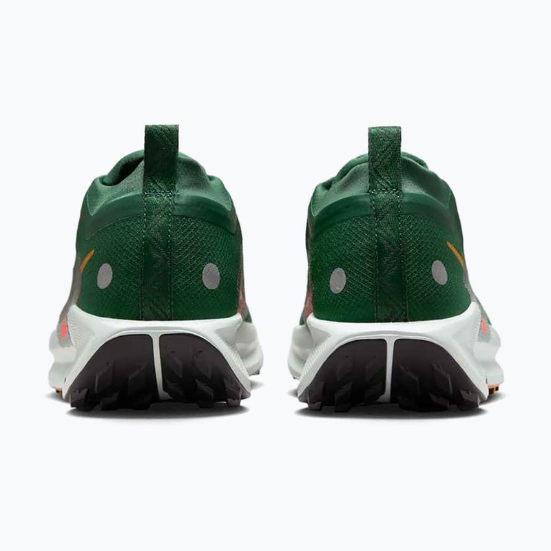 Мъжки обувки за бягане Nike Pegasus Trail 5 GORE-TEX fir/bright crimson/clay green 6