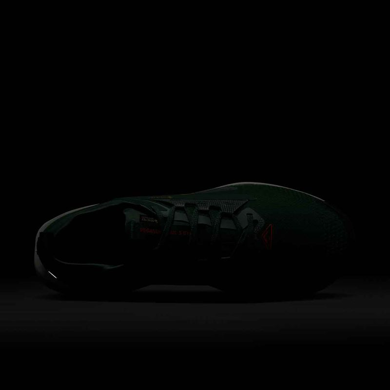 Мъжки обувки за бягане Nike Pegasus Trail 5 GORE-TEX fir/bright crimson/clay green 10