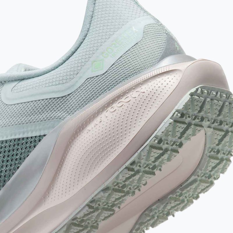 Мъжки обувки за бягане Nike Pegasus 41 GTX light pumice/pure platinum/silt red/metal silver 10