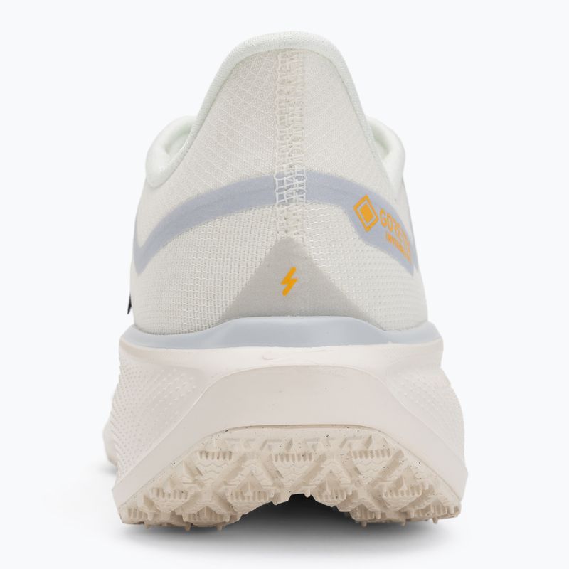 Мъжки обувки за бягане Nike Pegasus 41 GTX sail/football grey/sundial/ashen slate 6