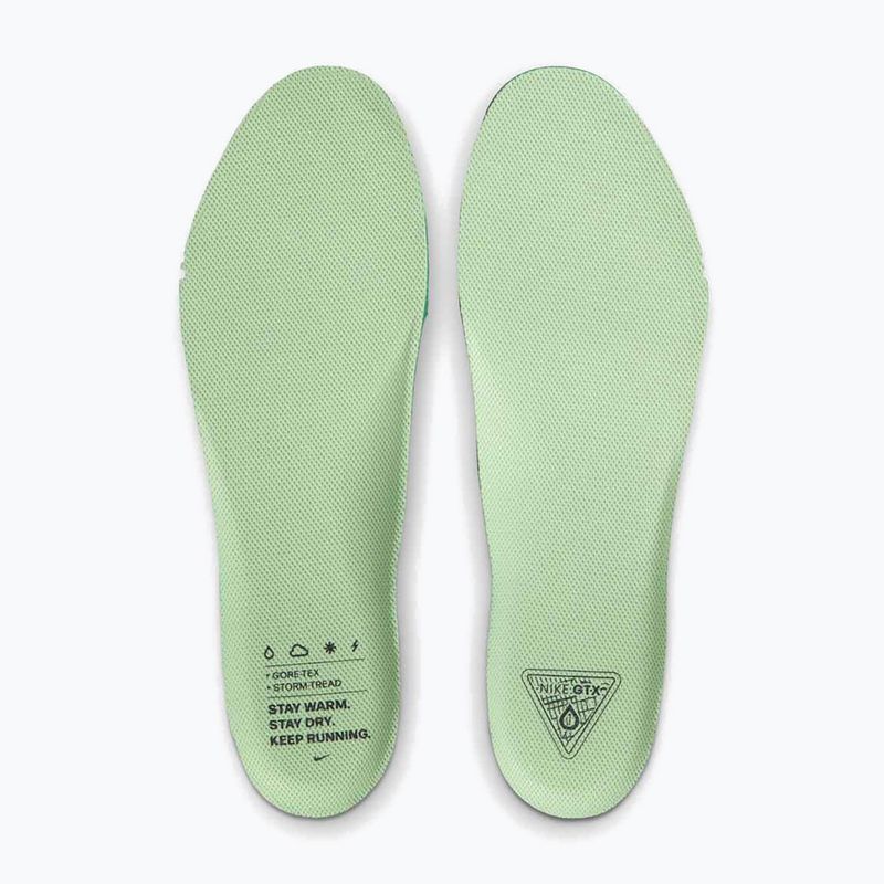 Мъжки обувки за бягане Nike Pegasus 41 GTX cannon/obsidian/seaweed/volt 11