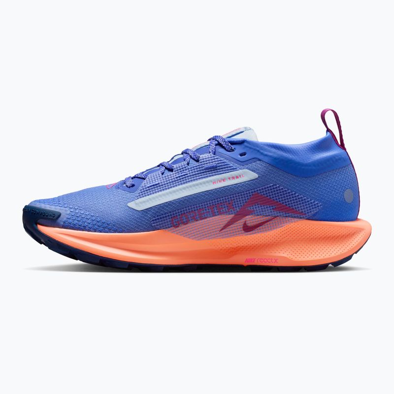 Дамски обувки за бягане Nike Pegasus Trail 5 GTX sapphire/hydrogen blue/hyper pink 2