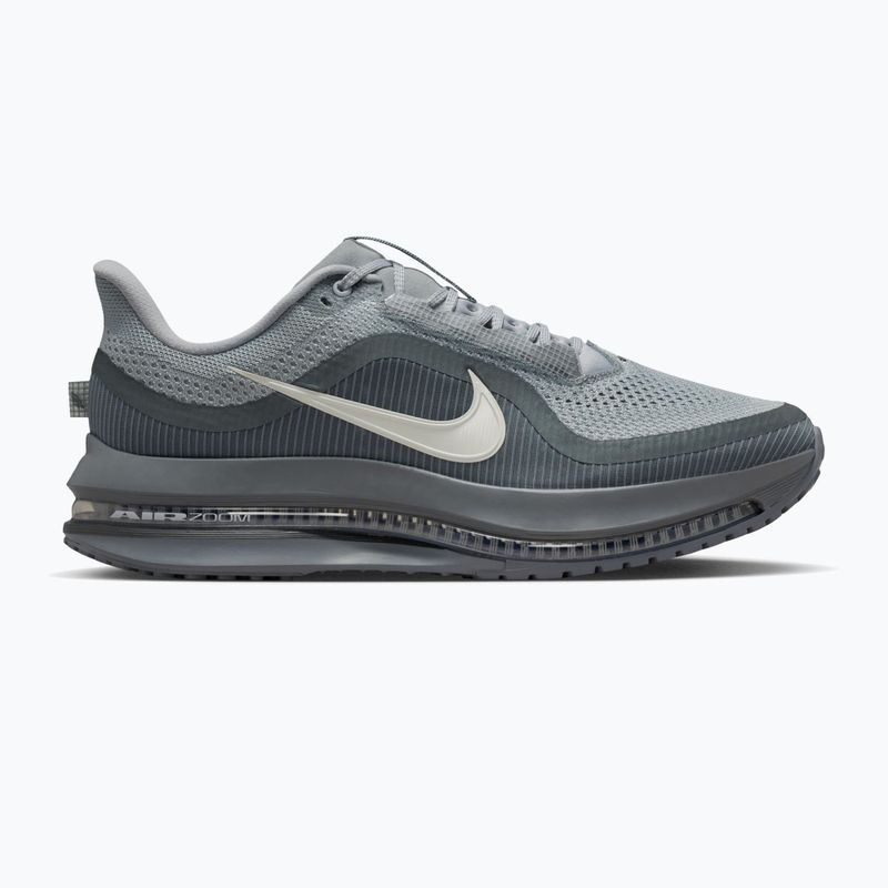 Мъжки обувки за бягане Nike Pegasus Premium wolf grey/cool grey/anthracite/sail