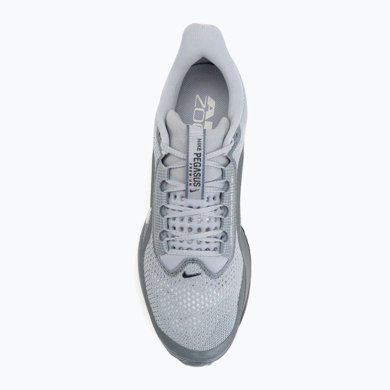 Мъжки обувки за бягане Nike Pegasus Premium wolf grey/cool grey/anthracite/sail 5