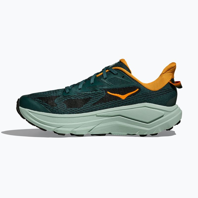 Mъжки обувки за бягане HOKA Challenger 8 bay leaf/sage 4