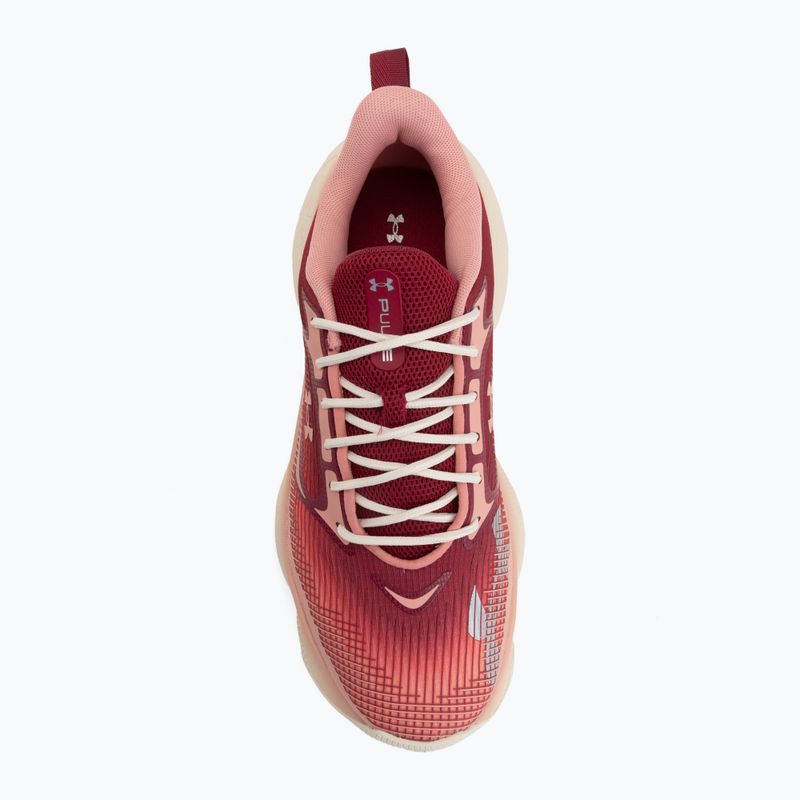 Дамски обувки за тренировка Under Armour Pulse claret/posh pink/posh pink 5